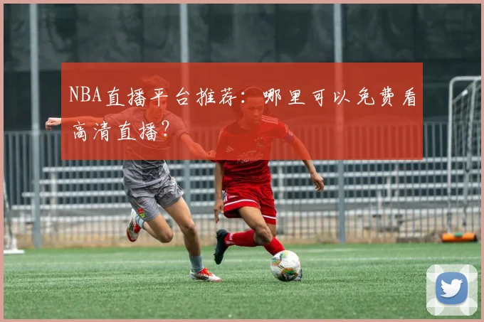NBA直播平台推荐：哪里可以免费看高清直播？